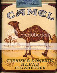 camel.jpg