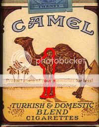 camel1.jpg