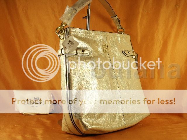 COACH COLETTE ELEVATED LEATHER HOBO STYLE 16442 NWT  