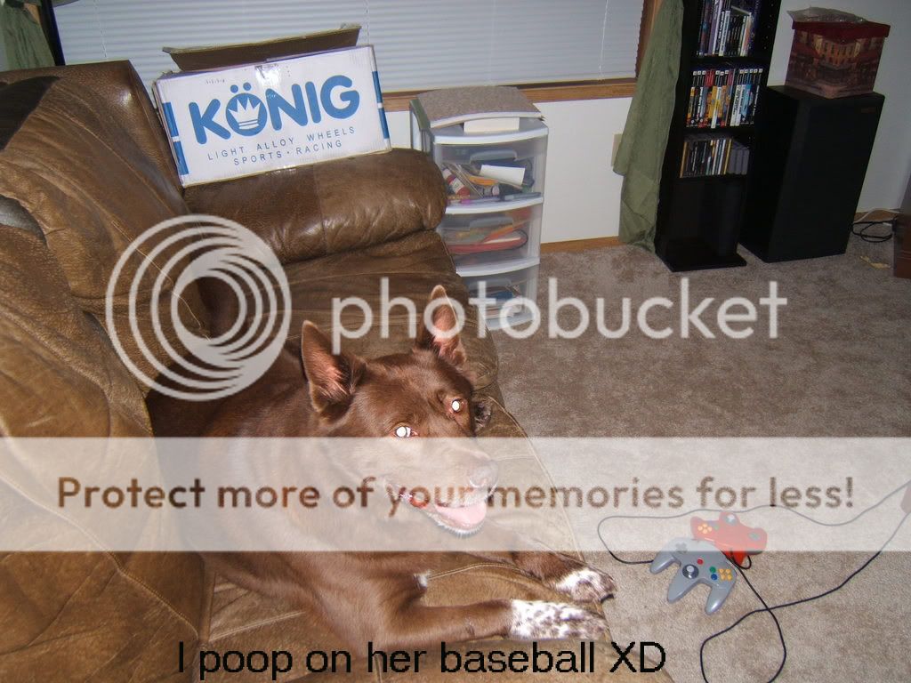 https://i18.photobucket.com/albums/b120/IntegraVSR/Nerd%20Stuff/baseballpoop.jpg