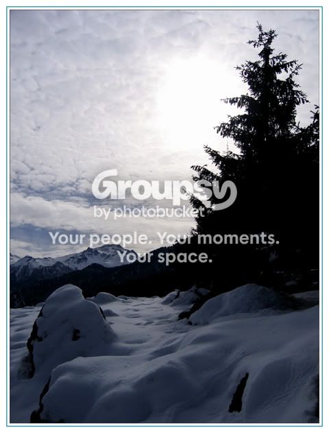 Image hosted by Photobucket.com