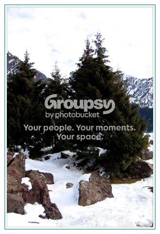 Image hosted by Photobucket.com