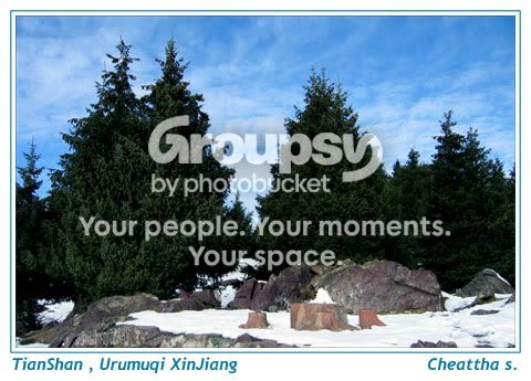 Image hosted by Photobucket.com