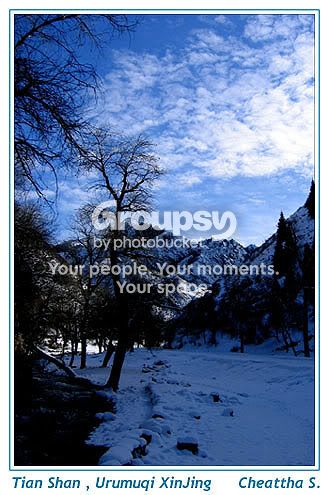 Image hosted by Photobucket.com