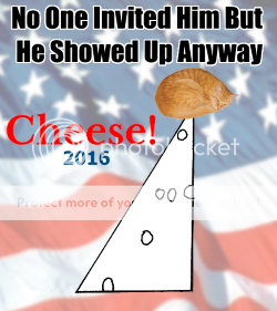 poster for Swiss Cheese campaign