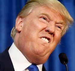 best image of Donald Trump