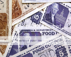 imagine of different amounts of food stamp coupons