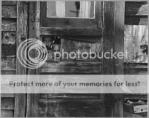 Image of a shack in the 1930's