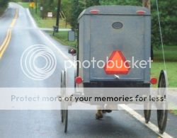 image showing an Amish Buggy on a road with the slow moving trangle on the back