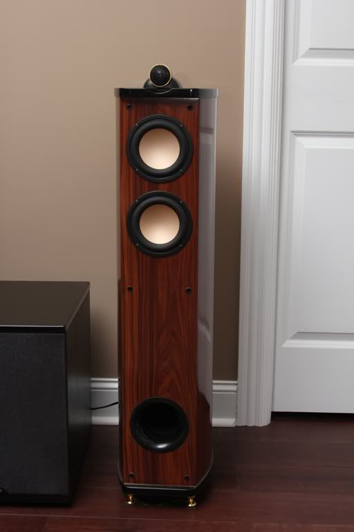 Swan Diva 4.1 Floorstanding Speakers. Incredible deal! | Home Theater ...