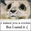 I baked you a cookie Pictures, Images and Photos