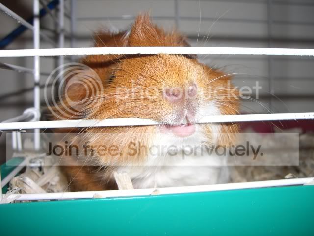 CIMG9533.jpg
