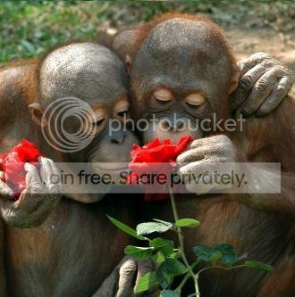 Share Wonder.