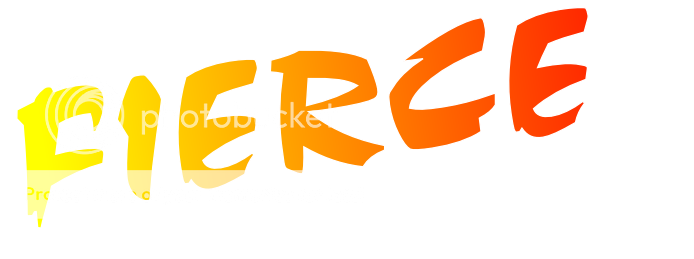 有关以下物品的详细资料: "run cmd" dos prompt